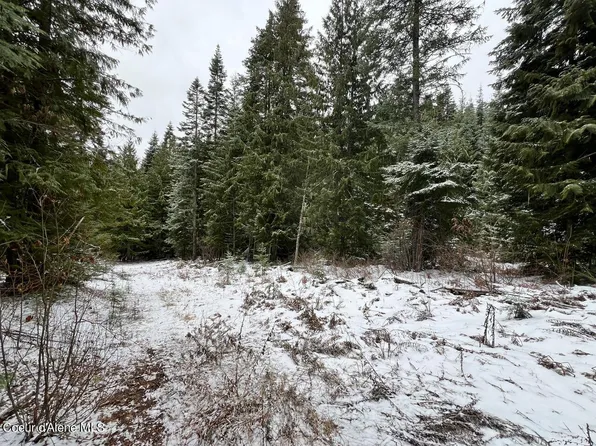 235 Campfire Ln, Saint Maries, ID 83861