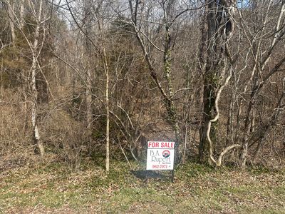 1 Sherry May St, Covington, VA, 24426