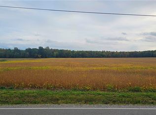 6128 Spieth Rd, Medina, OH 44256