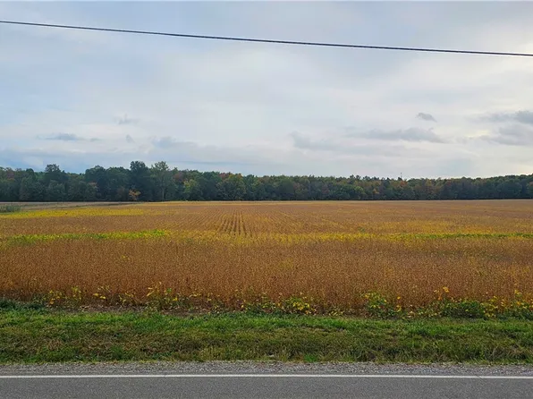 6128 Spieth Rd, Medina, OH 44256