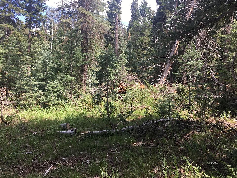 2nd image of 975 W Twisted Trl