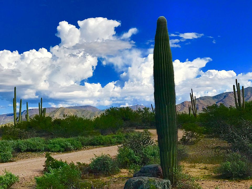 2nd image of 5903 E Chuckwalla Trl