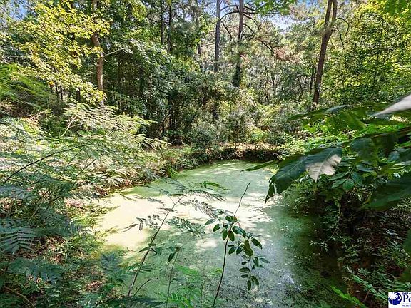 3rd image of 1396 Kennedy Haines Rd