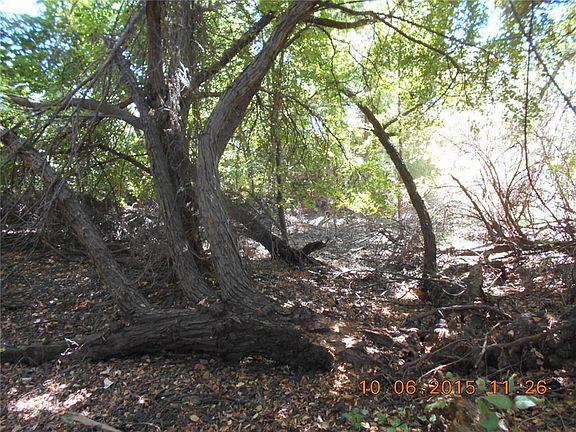3rd image of 1045 E Fm 544