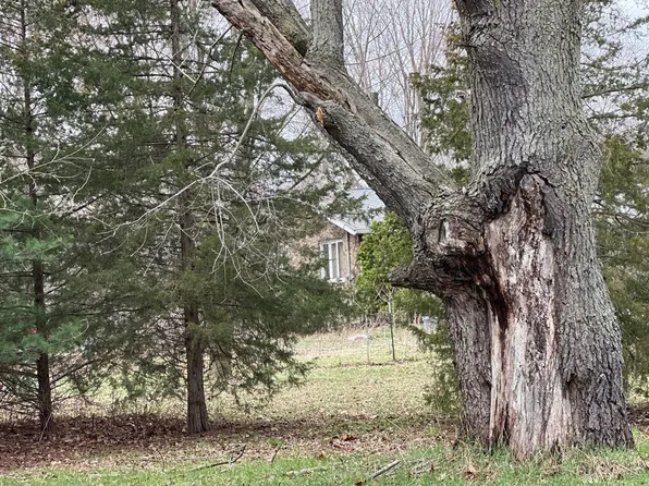 10270 Cedar Lake Rd, Fenwick, MI 48834