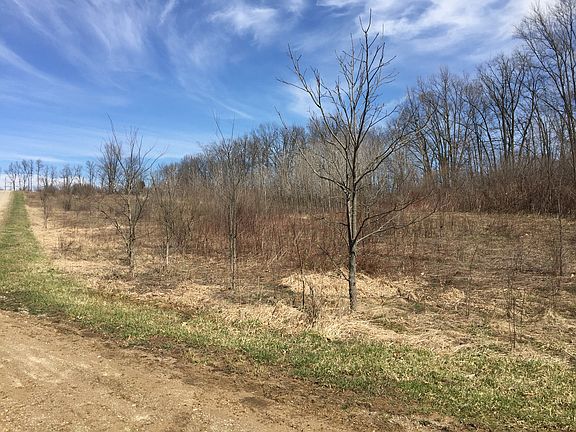 3rd image of 5450 Natures Place Dr