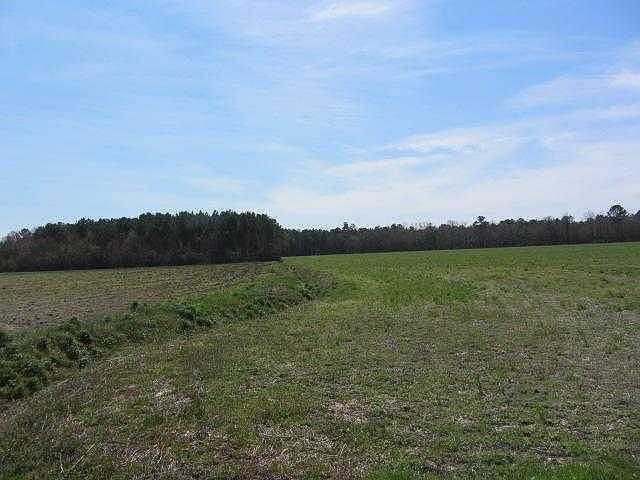 2nd image of TBD W Highway 19