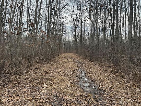 3rd image of OOO MAPLE