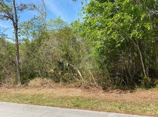 6 Zephyr Lily Trl, Palm Coast, FL 32164