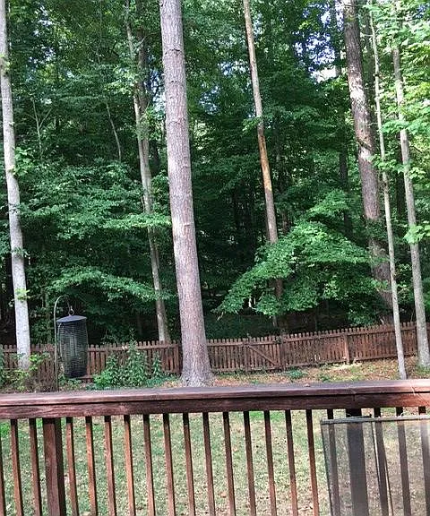 View directly into the backyard from deck.