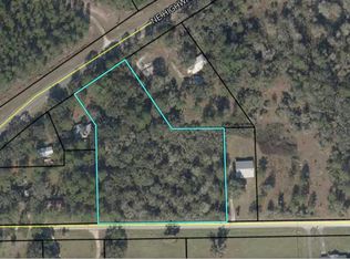 NE Highway 351 LOT 5, Cross City, FL 32628