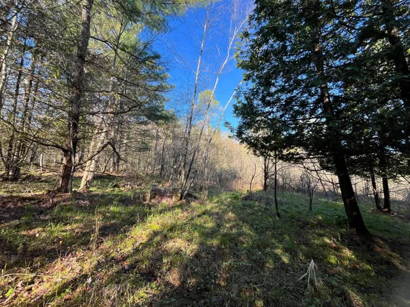 0 Lafaver Rd #4, Hermon, NY 13652