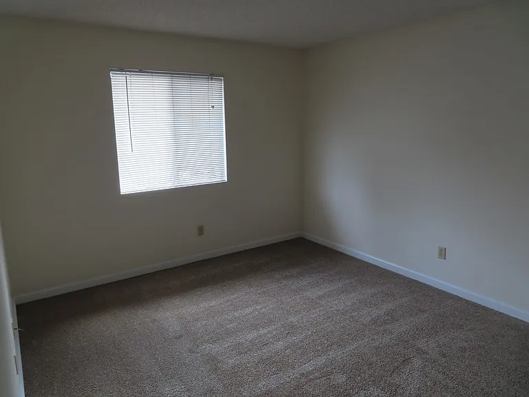 7890 Camino Glorita — Photo 13
