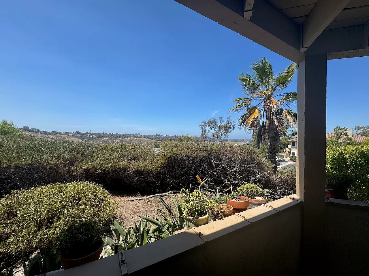 1 bed, 744 sqft, $2,395 — Photo 2
