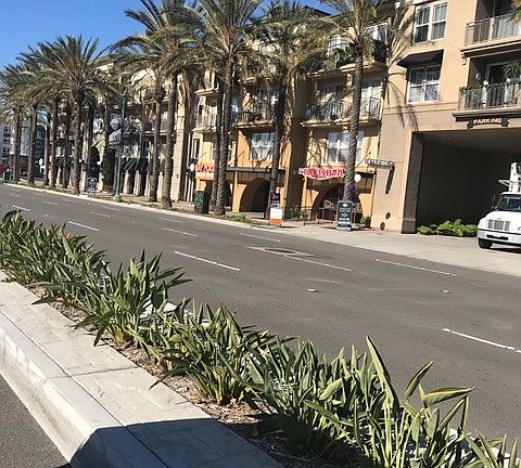 2nd image of 1801 E Katella Ave APT 3106
