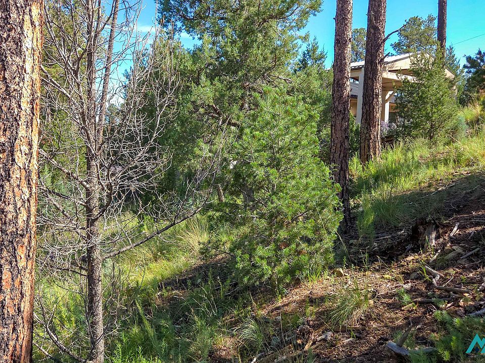 1st image of 213 Snow Park Rd #21