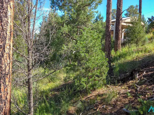 213 Snow Park Rd #21, Alto, NM 88312
