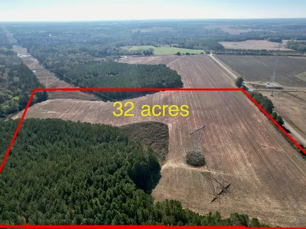 3 County Road 238, Headland, AL 36345