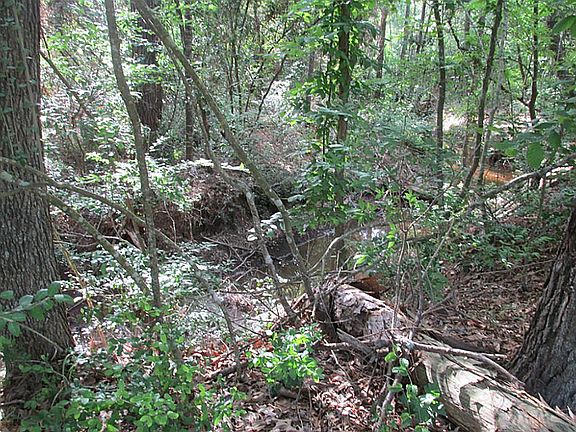Creek runs through property.
