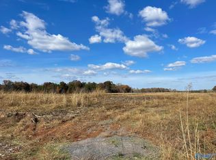 TRACT 21 Hays Mill Rd, Elkmont, AL 35620