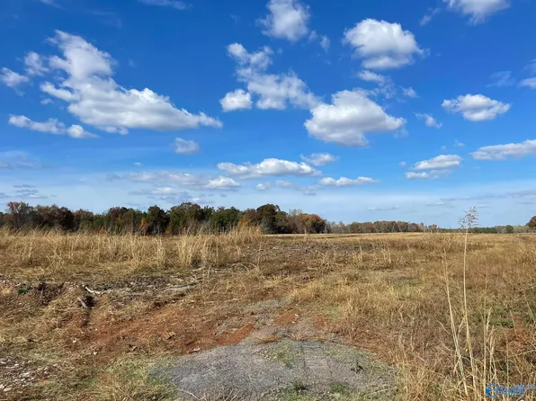 TRACT 21 Hays Mill Rd, Elkmont, AL 35620