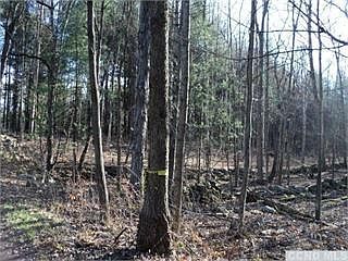 3rd image of 58 Koelmel Dr