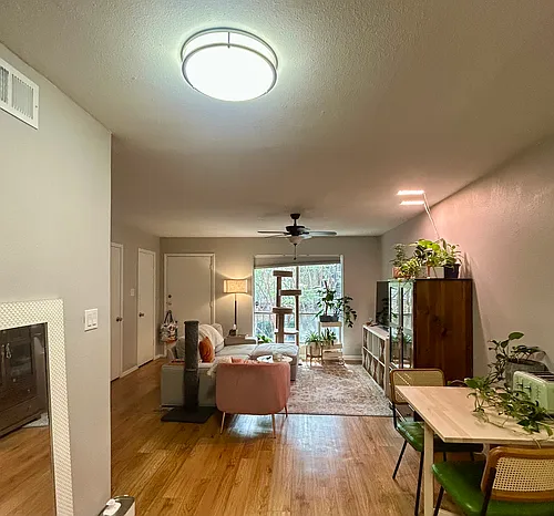 2207 Leon St #209 Photo 1 2207 Leon St #209 Photo 1