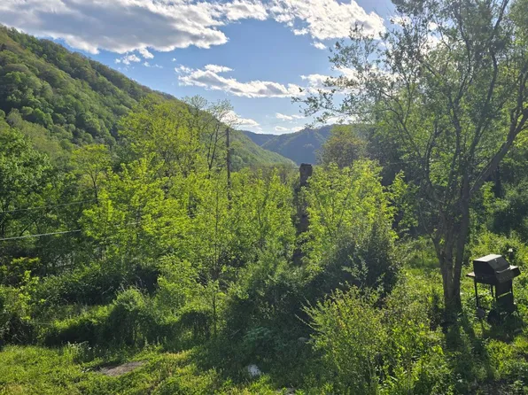 4893 Stanaford Rd, Danese, WV 25831