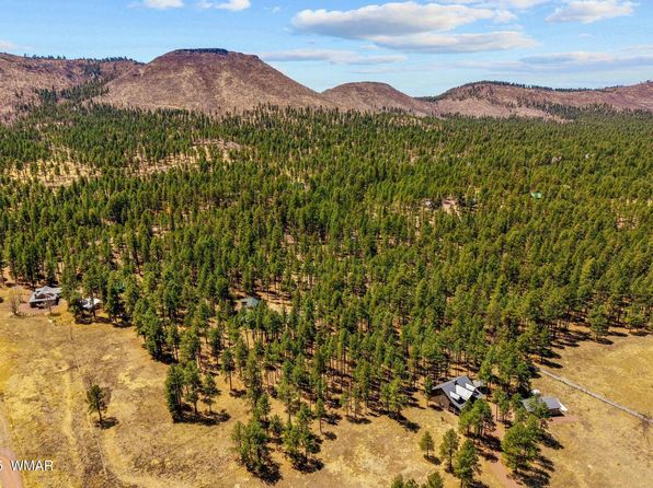 61 County Road 2266, Alpine, AZ 85920