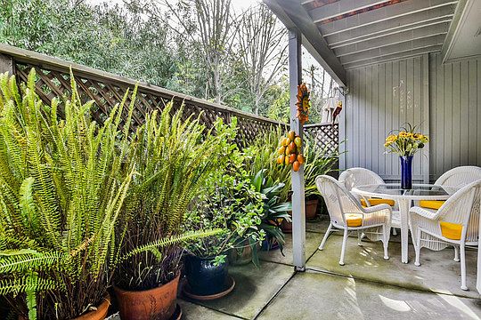 5th image of 308 Grapevine Pl