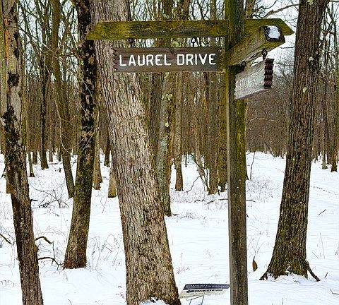 4th image of 86 Laurel Dr