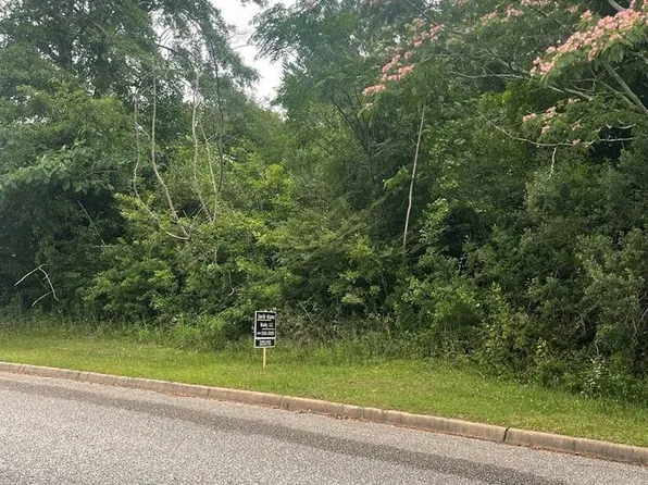 0 Ingram Dr, Troy, AL 36079