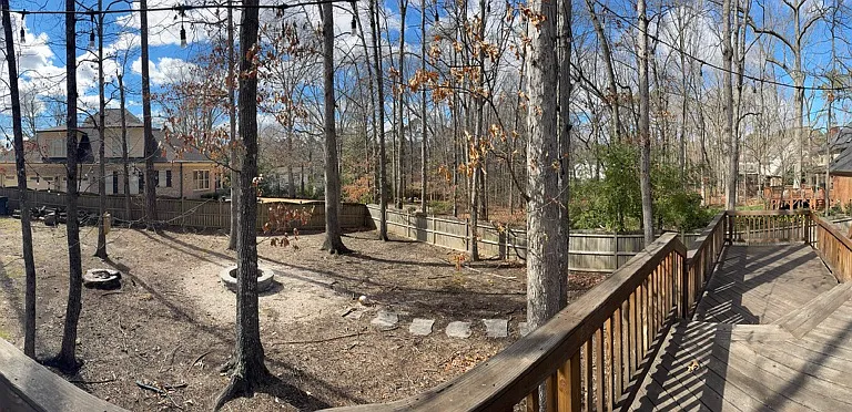 panoramic backyard view