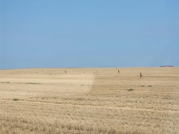 0 County Road 81, Roggen, CO 80652