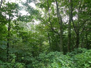 106 Smoketree Rd, Banner Elk, NC 28604