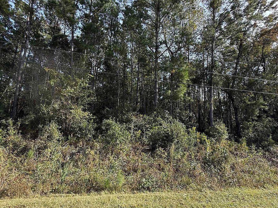 2nd image of TBD Old Charleston Rd.