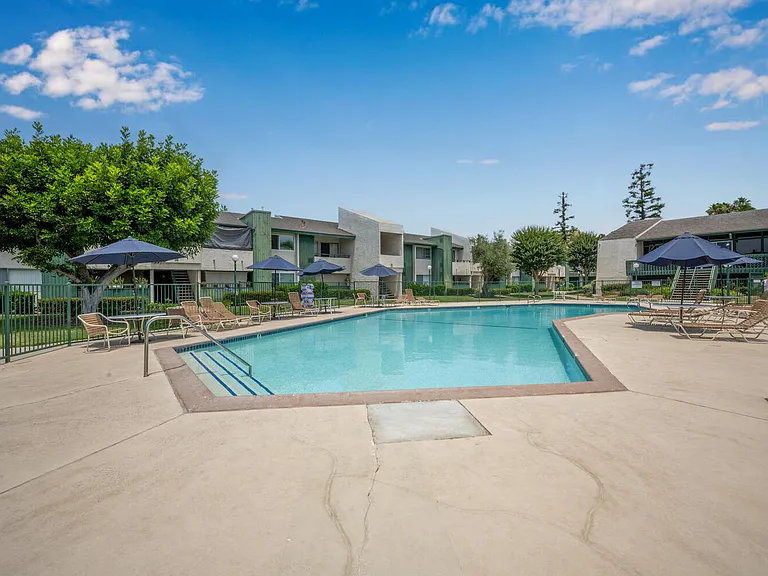 Main Pool