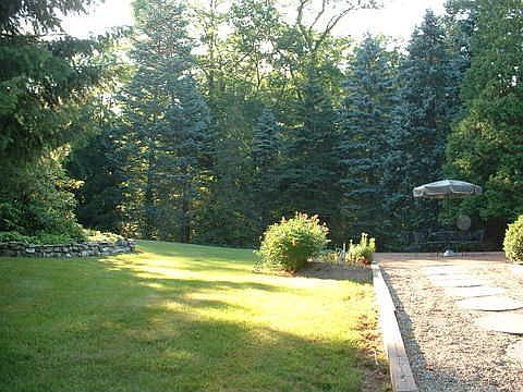 View of the backyard