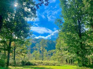 LOT 352 Lake Vista Ct, Ellijay, GA 30536