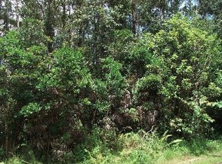 12 4294th #782, Pahoa, HI 96778