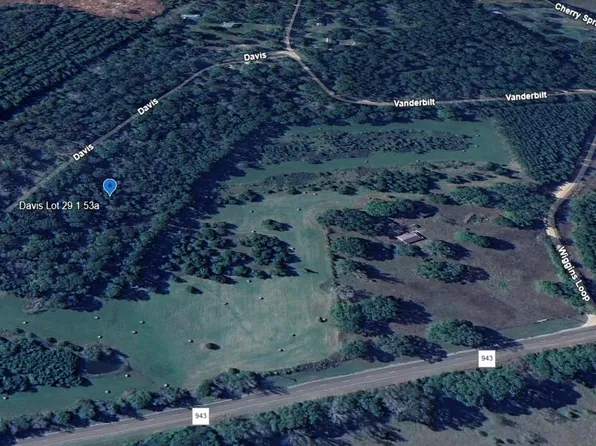 Davis Ave Lot 29, Livingston, TX 77351