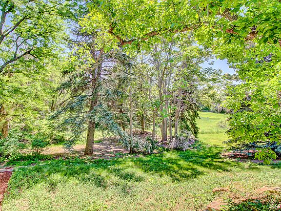 Side Yard Left Of House