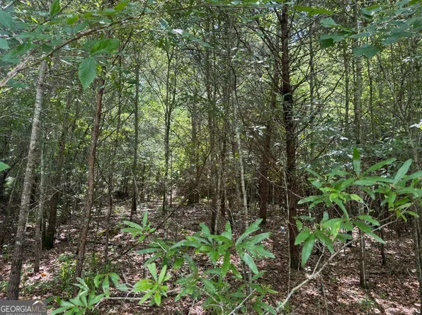 0 Meadow Ln, Talking Rock, GA 30175