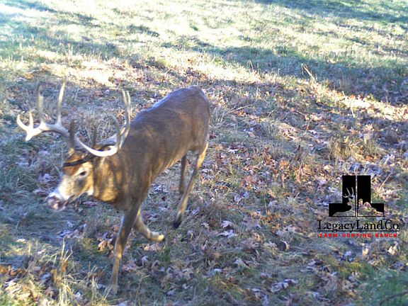 4th image of 149 Dog Creek Ln