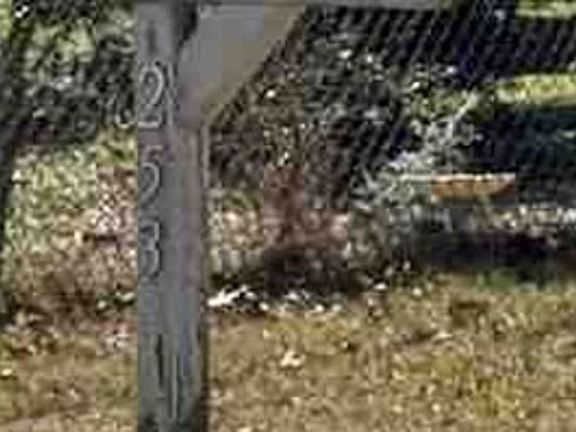 Exterior Address Verification