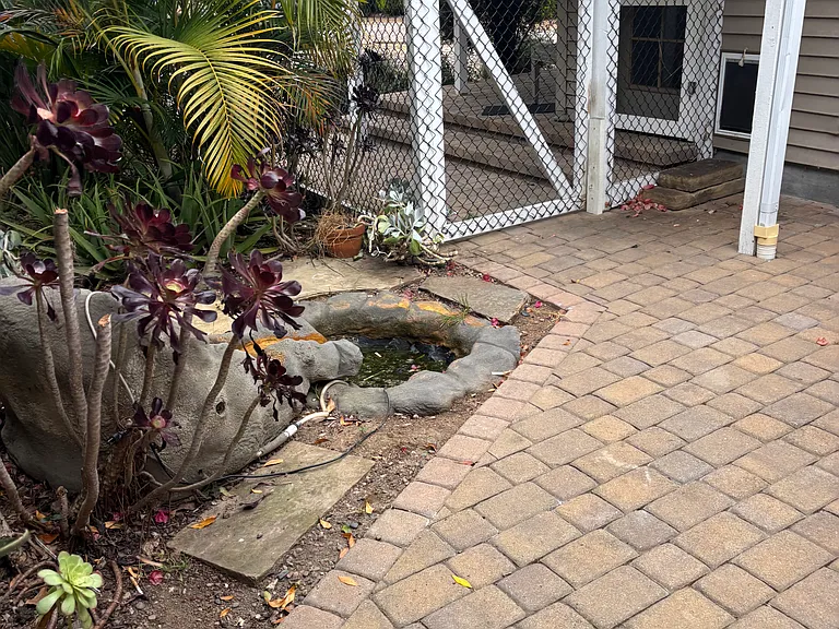 555 Matagual Dr — Photo 16