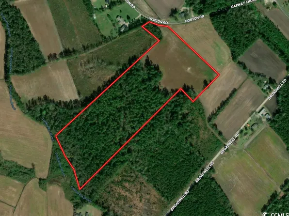 TBD Norton Rd., Green Sea, SC 29545