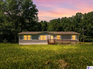 1401 Guston Bewleyville Rd, Guston, KY 40142