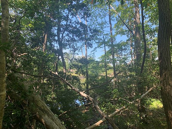 3rd image of LOT 26 Chesapeake Dr