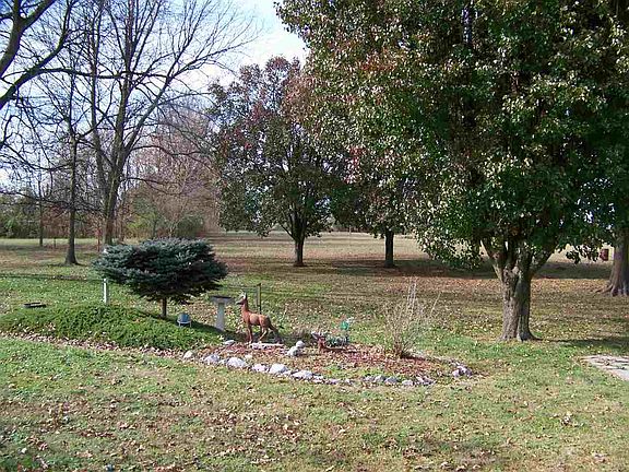 3rd image of 176 Lamb Dr